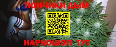 амф Аша