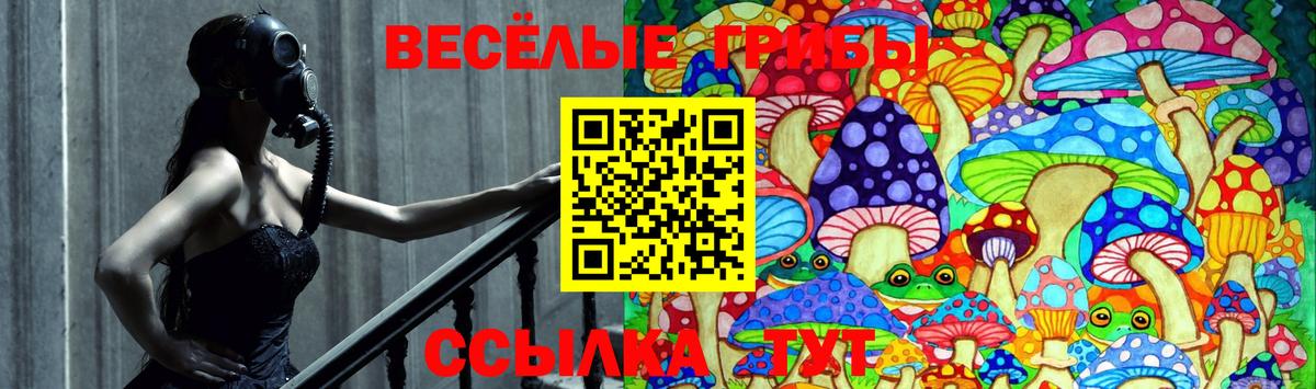 Псилоцибиновые грибы Белая Калитва